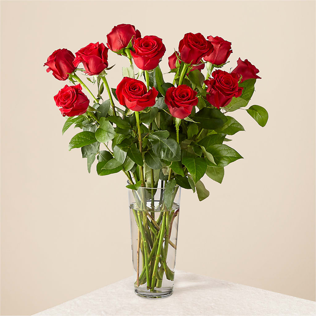 Long Stem Red Rose Bouquet – COUNTRY PEDDLER FLORAL & GIFT, Savanna IL