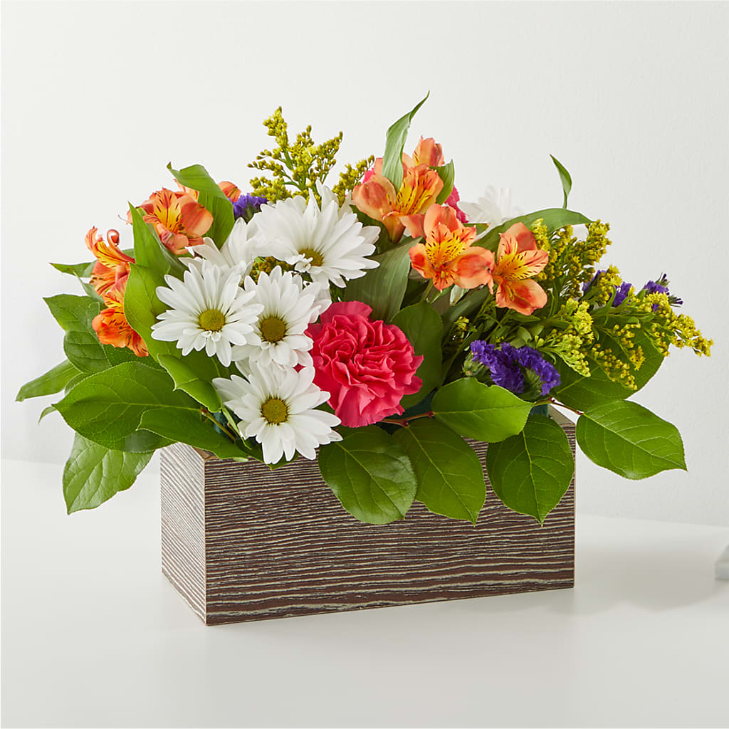 Oopsie Daisy Box Bouquet – COUNTRY PEDDLER FLORAL & GIFT, Savanna IL