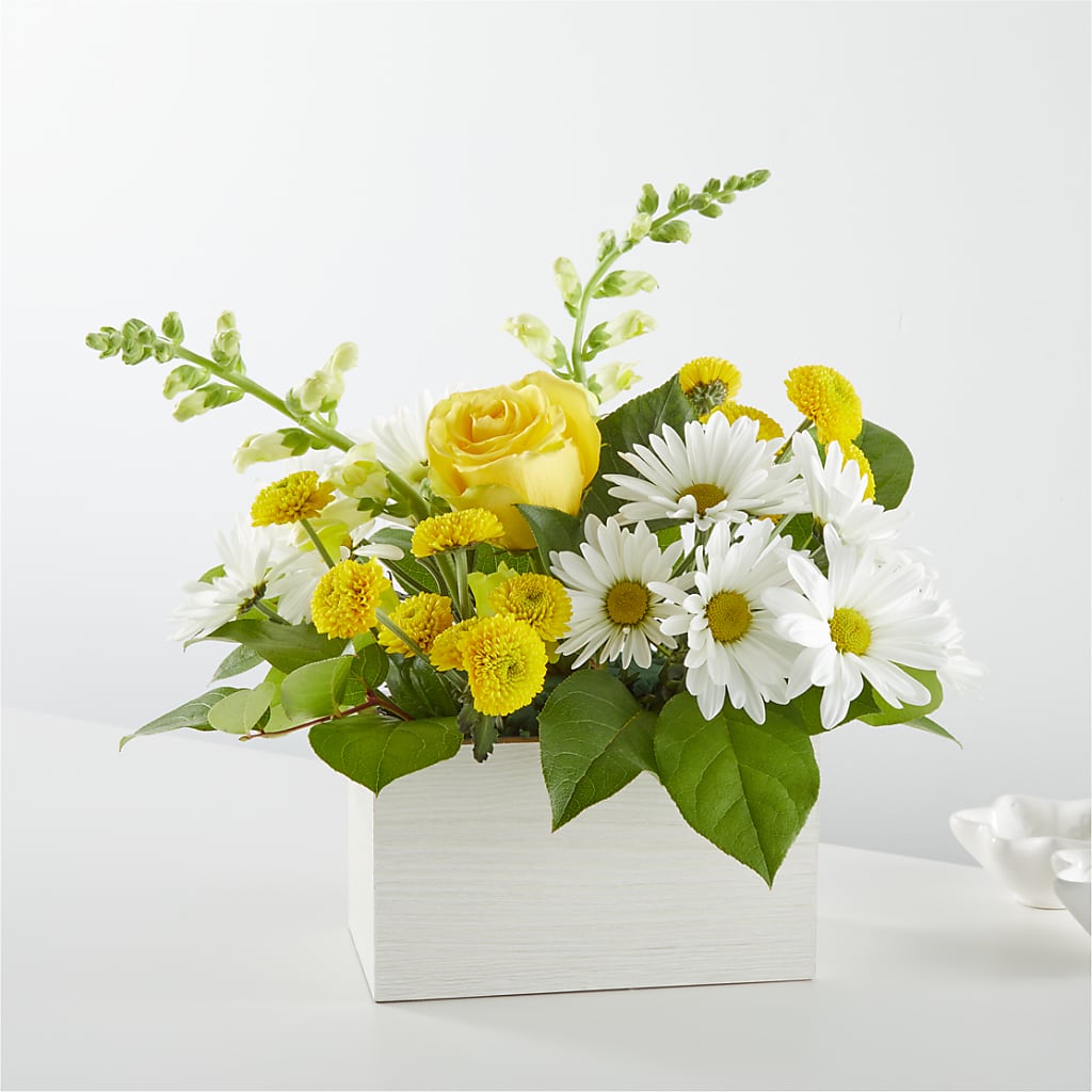 Sun Salutation Box Bouquet – COUNTRY PEDDLER FLORAL & GIFT, Savanna IL