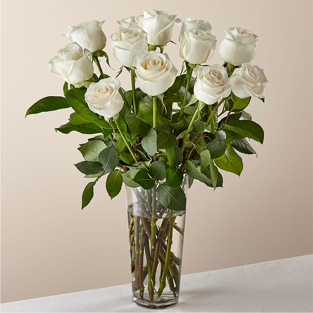 Long Stem White Rose Bouquet – COUNTRY PEDDLER FLORAL & GIFT, Savanna IL