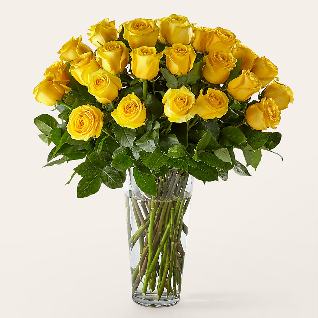 Long Stem Yellow Rose Bouquet – COUNTRY PEDDLER FLORAL & GIFT, Savanna IL
