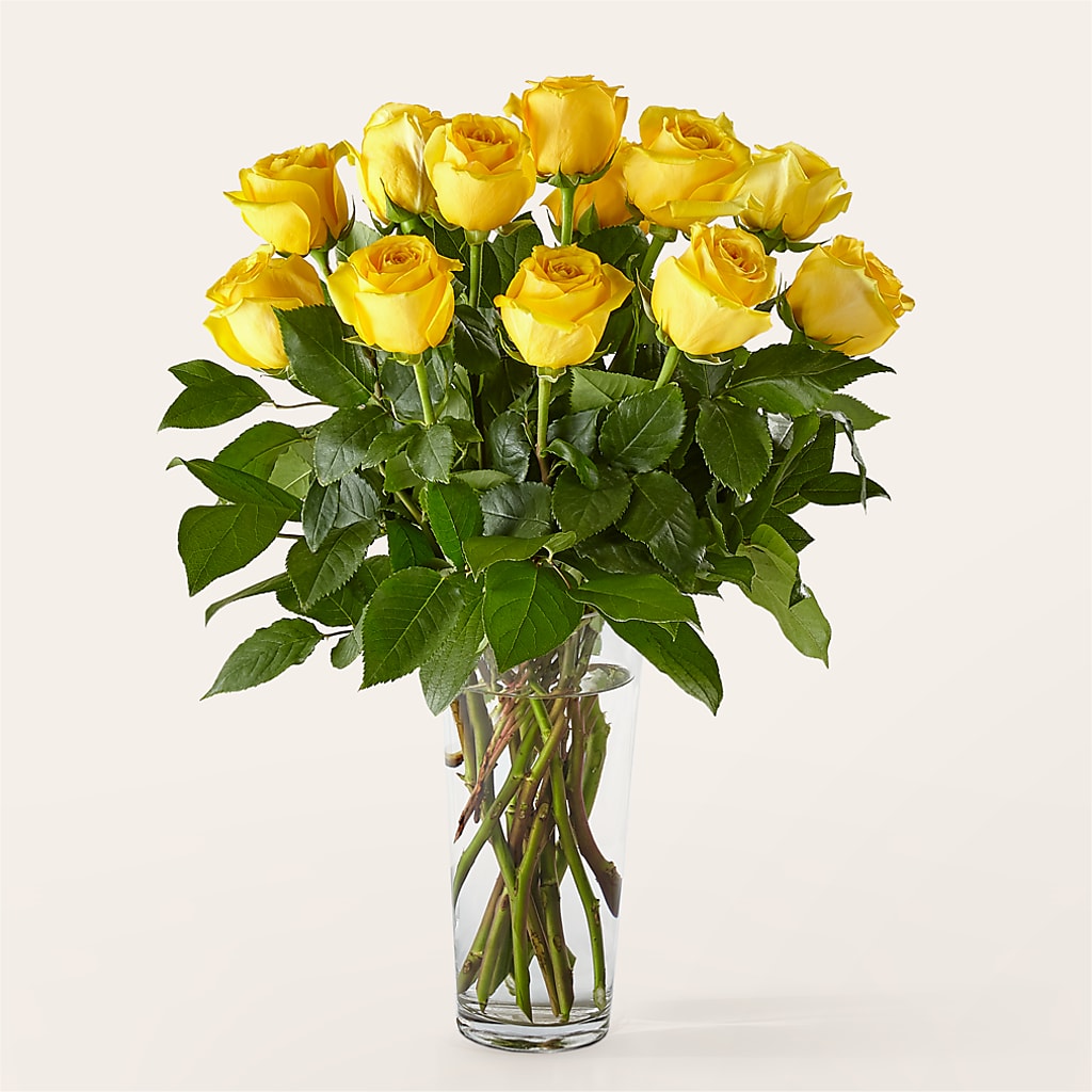Long Stem Yellow Rose Bouquet – COUNTRY PEDDLER FLORAL & GIFT, Savanna IL