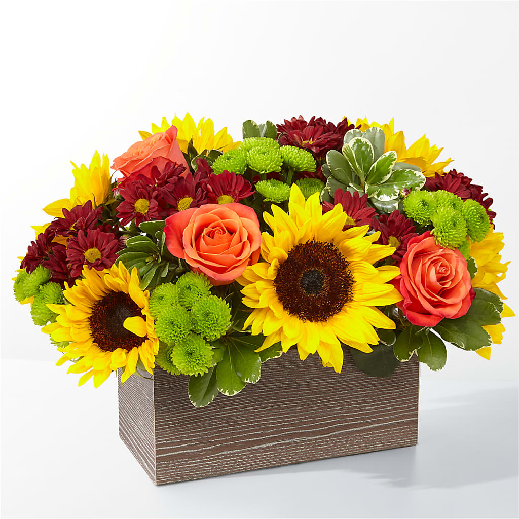 Happy Harvest Garden – COUNTRY PEDDLER FLORAL & GIFT, Savanna IL