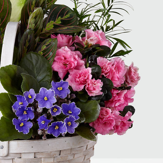 Peaceful Garden Planter – COUNTRY PEDDLER FLORAL & GIFT, Savanna IL
