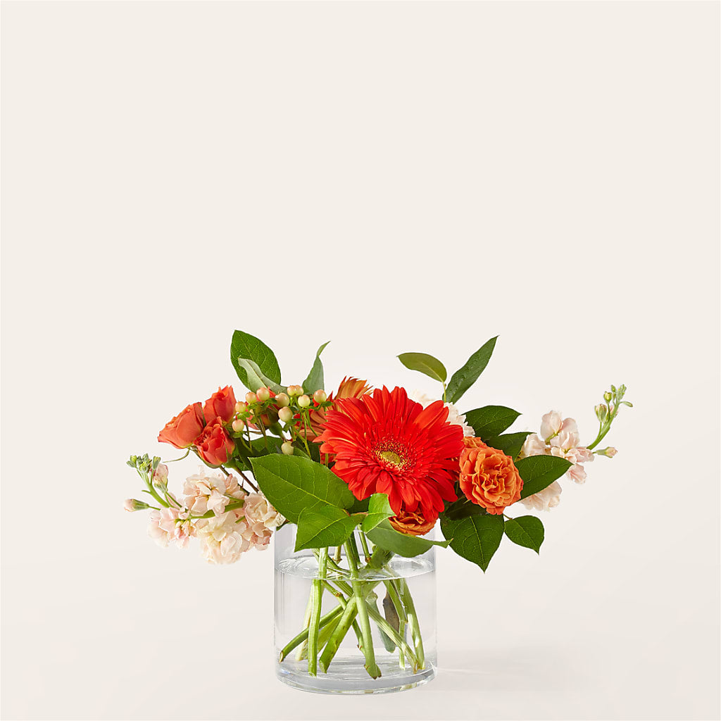 Paloma Please Bouquet – COUNTRY PEDDLER FLORAL & GIFT, Savanna IL