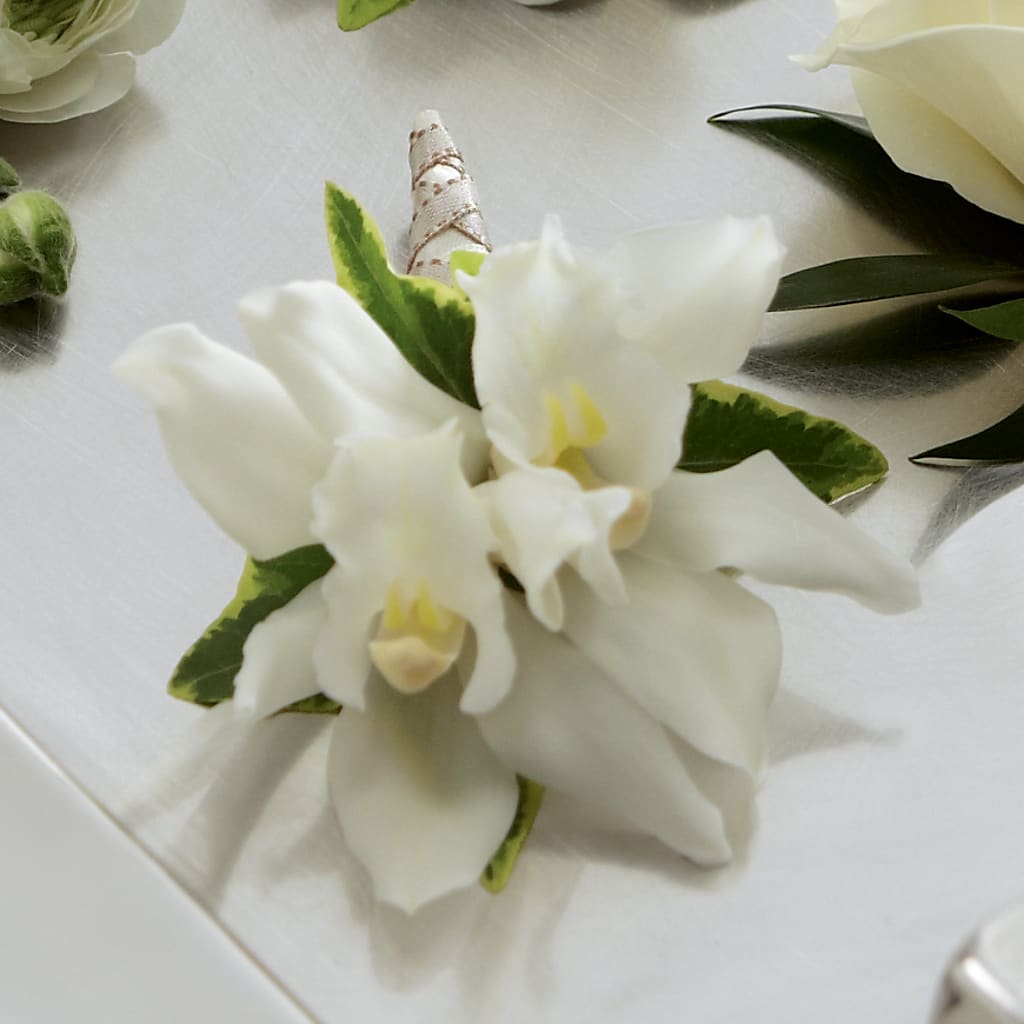 White Mini Cymbidium Boutonniere – COUNTRY PEDDLER FLORAL & GIFT, Savanna IL