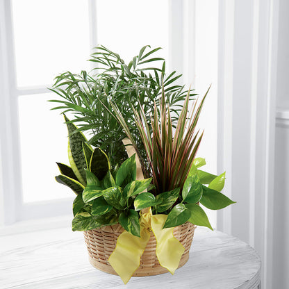 French Garden – COUNTRY PEDDLER FLORAL & GIFT, Savanna IL