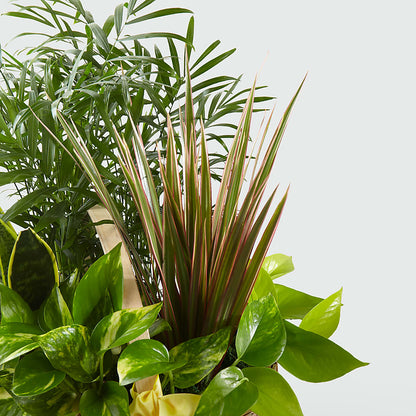 French Garden – COUNTRY PEDDLER FLORAL & GIFT, Savanna IL