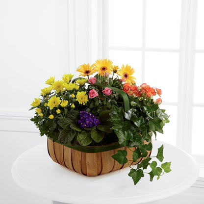 Gentle Blossoms Basket – COUNTRY PEDDLER FLORAL & GIFT, Savanna IL