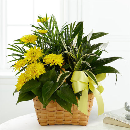 Loving Light Dishgarden – COUNTRY PEDDLER FLORAL & GIFT, Savanna IL