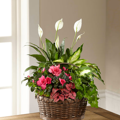 Dream in Pink Dishgarden – COUNTRY PEDDLER FLORAL & GIFT, Savanna IL