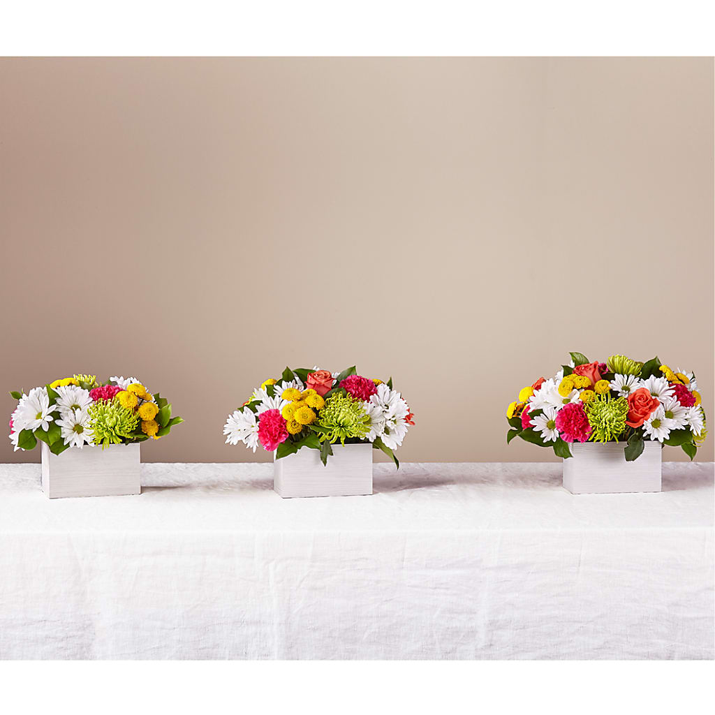 Sorbet Bouquet – COUNTRY PEDDLER FLORAL & GIFT, Savanna IL