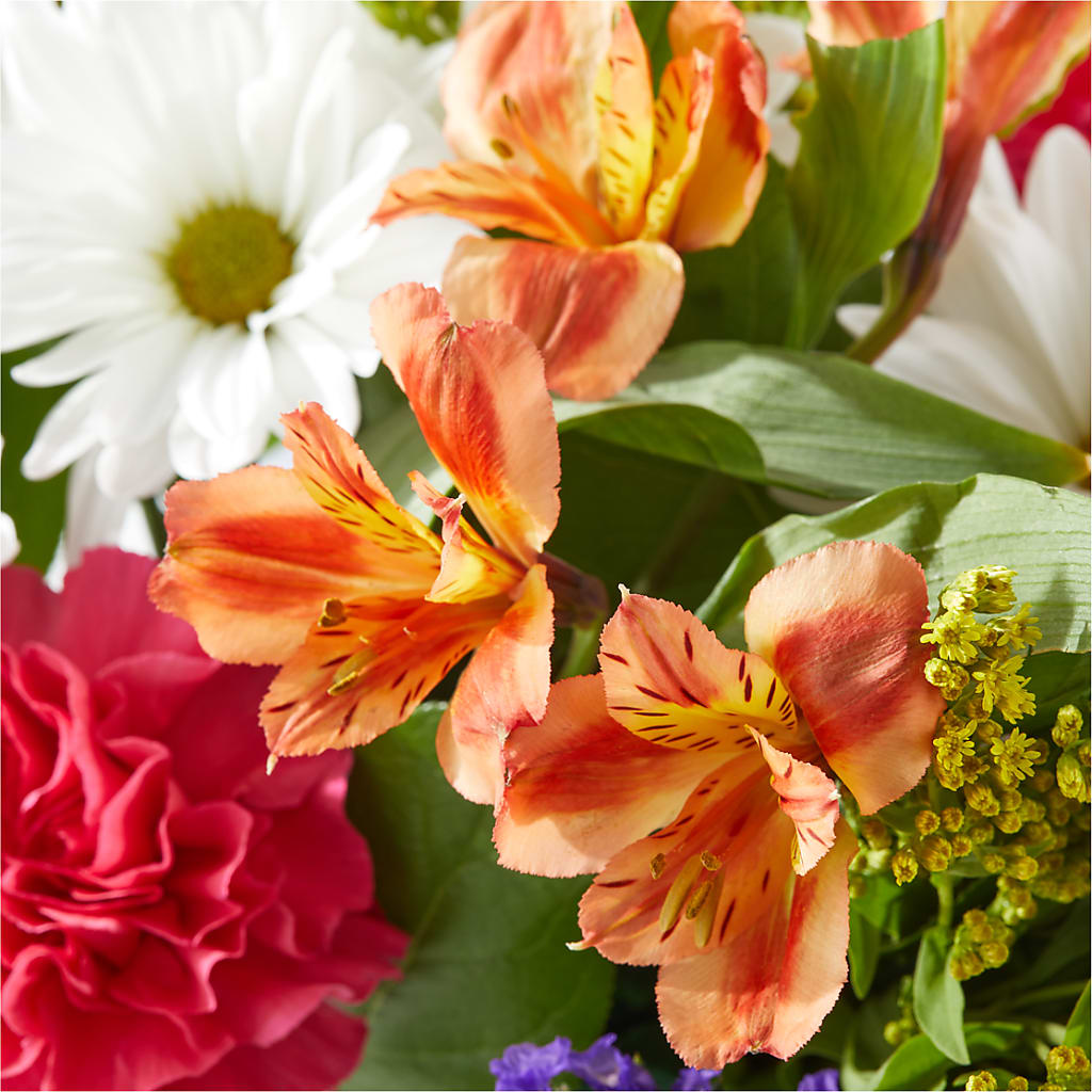 Oopsie Daisy Box Bouquet – COUNTRY PEDDLER FLORAL & GIFT, Savanna IL