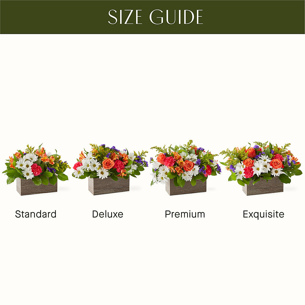Oopsie Daisy Box Bouquet – COUNTRY PEDDLER FLORAL & GIFT, Savanna IL