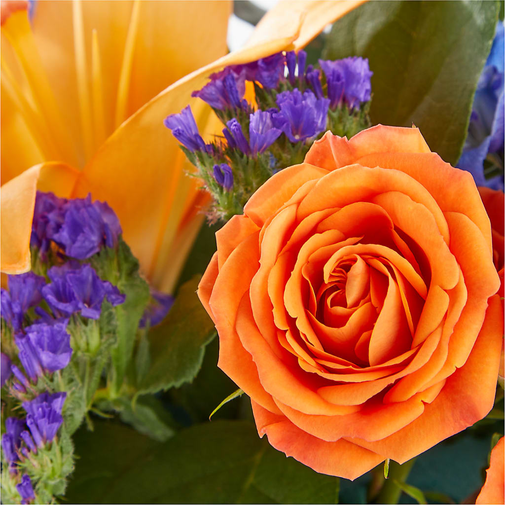 Radiant Citrus Box Bouquet – COUNTRY PEDDLER FLORAL & GIFT, Savanna IL