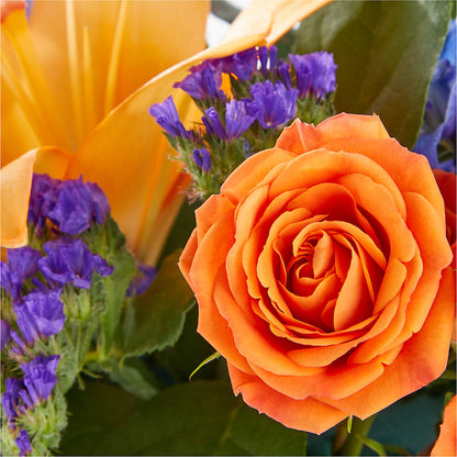 Radiant Citrus Box Bouquet – COUNTRY PEDDLER FLORAL & GIFT, Savanna IL