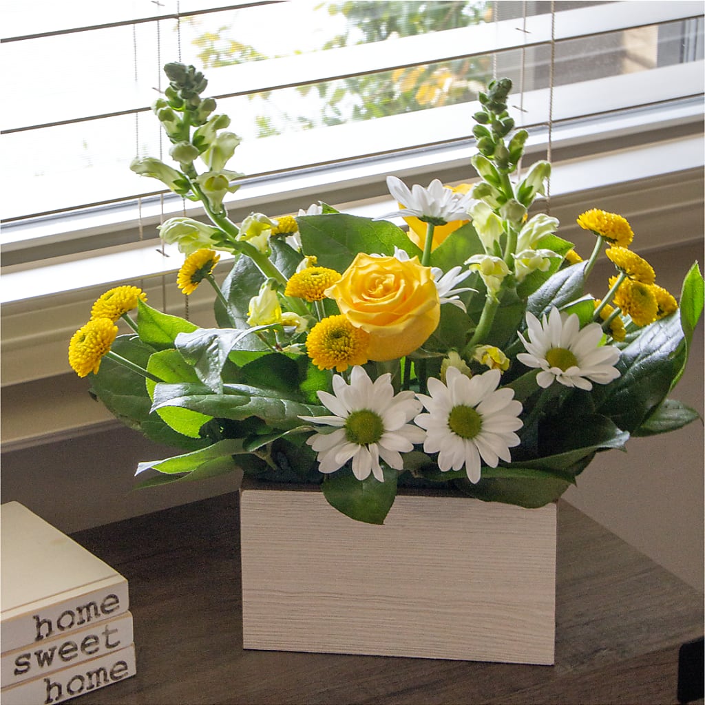 Sun Salutation Box Bouquet – COUNTRY PEDDLER FLORAL & GIFT, Savanna IL