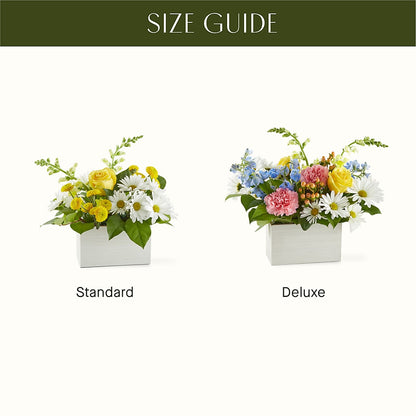 Sun Salutation Box Bouquet – COUNTRY PEDDLER FLORAL & GIFT, Savanna IL