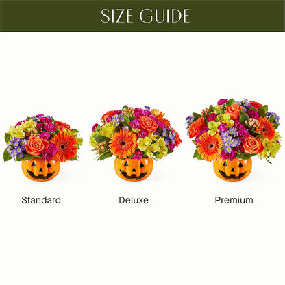 Tricks & Treats Pumpkin – COUNTRY PEDDLER FLORAL & GIFT, Savanna IL