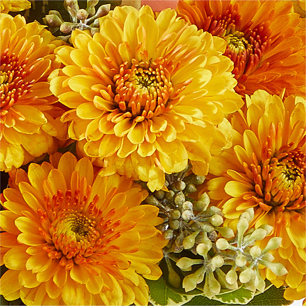 Peachy Pumpkin – COUNTRY PEDDLER FLORAL & GIFT, Savanna IL