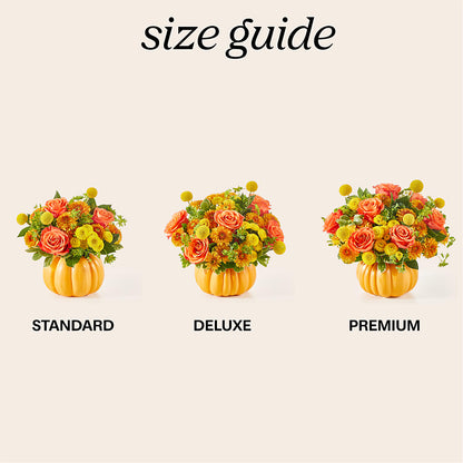 Gourdgeous Pumpkin – COUNTRY PEDDLER FLORAL & GIFT, Savanna IL