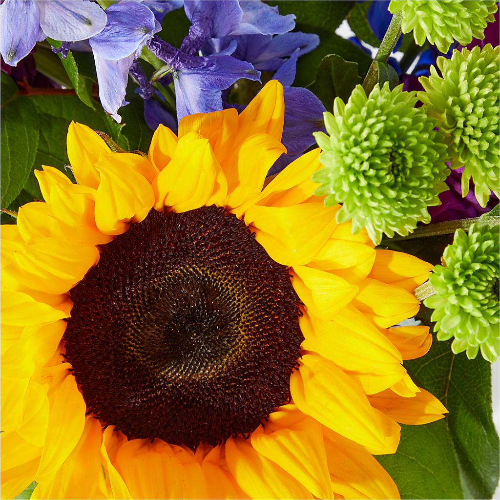 Catching Rays Bouquet – COUNTRY PEDDLER FLORAL & GIFT, Savanna IL