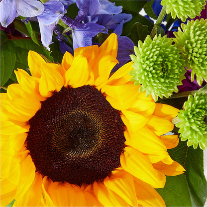 Catching Rays Bouquet – COUNTRY PEDDLER FLORAL & GIFT, Savanna IL
