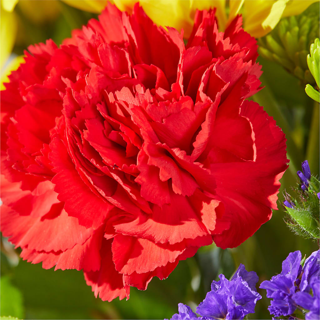 Brighter Days Bouquet – COUNTRY PEDDLER FLORAL & GIFT, Savanna IL