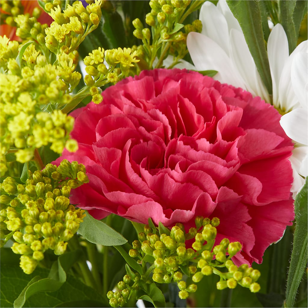 Oopsie Daisy Bouquet – COUNTRY PEDDLER FLORAL & GIFT, Savanna IL