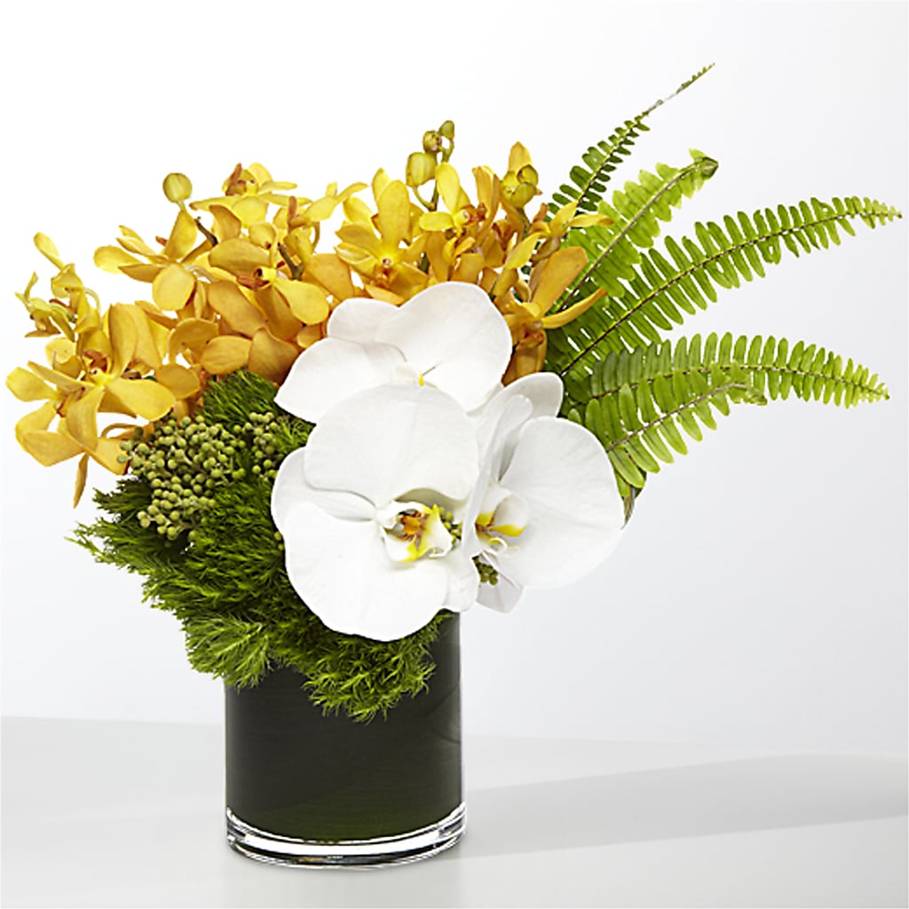 The Tropics – COUNTRY PEDDLER FLORAL & GIFT, Savanna IL