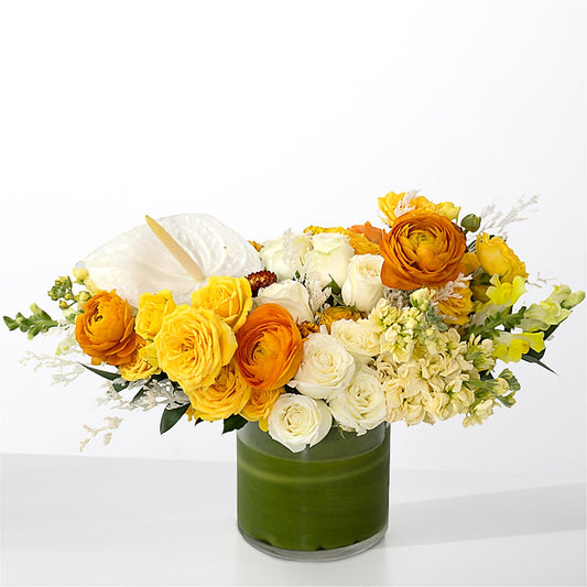 The Optimist – COUNTRY PEDDLER FLORAL & GIFT, Savanna IL
