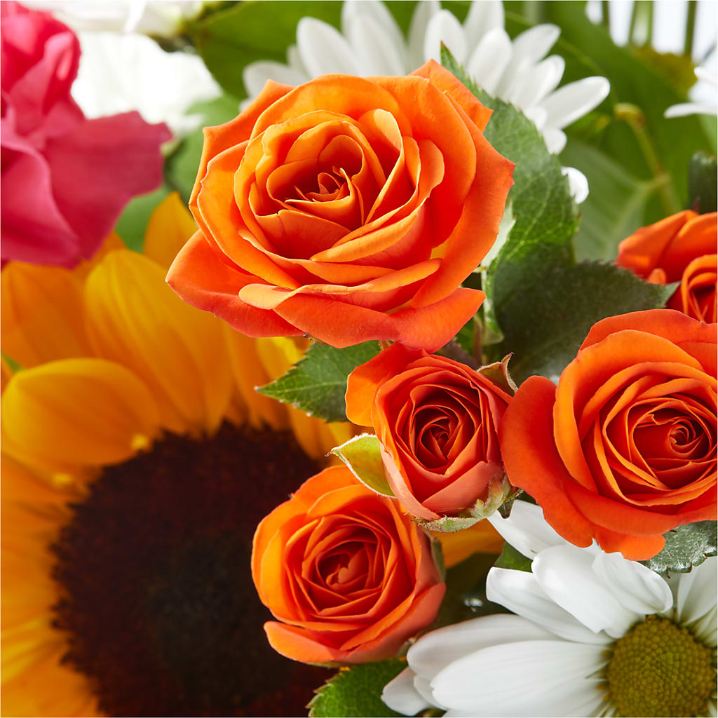 Sun-drenched Blooms Bouquet – COUNTRY PEDDLER FLORAL & GIFT, Savanna IL