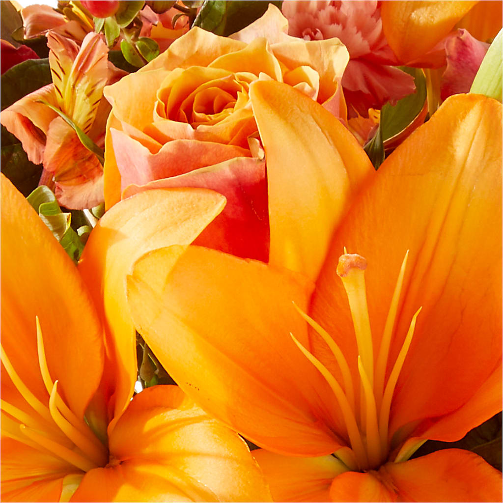 Afternoon Light Bouquet – COUNTRY PEDDLER FLORAL & GIFT, Savanna IL