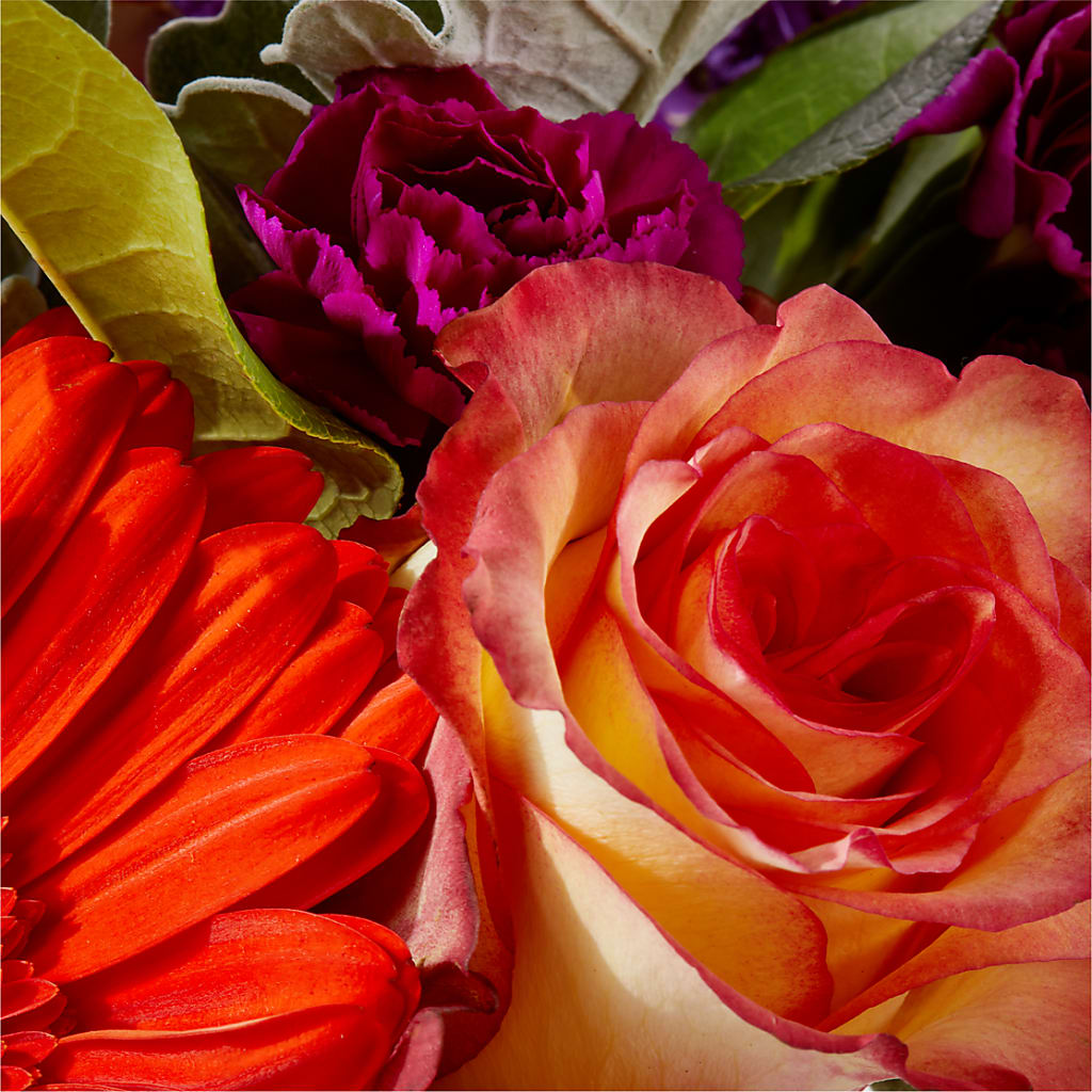 Sangria Bouquet – COUNTRY PEDDLER FLORAL & GIFT, Savanna IL