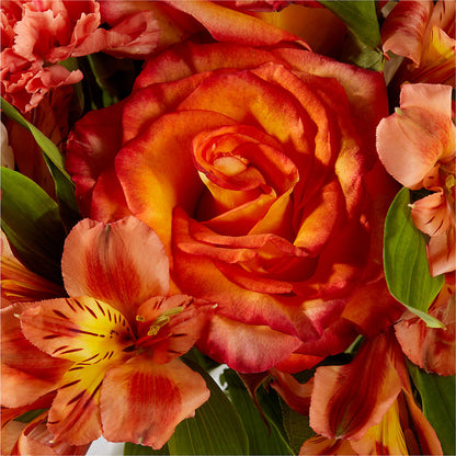 Apricot Glow Bouquet – COUNTRY PEDDLER FLORAL & GIFT, Savanna IL