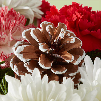 Candy Cane Lane Bouquet – COUNTRY PEDDLER FLORAL & GIFT, Savanna IL