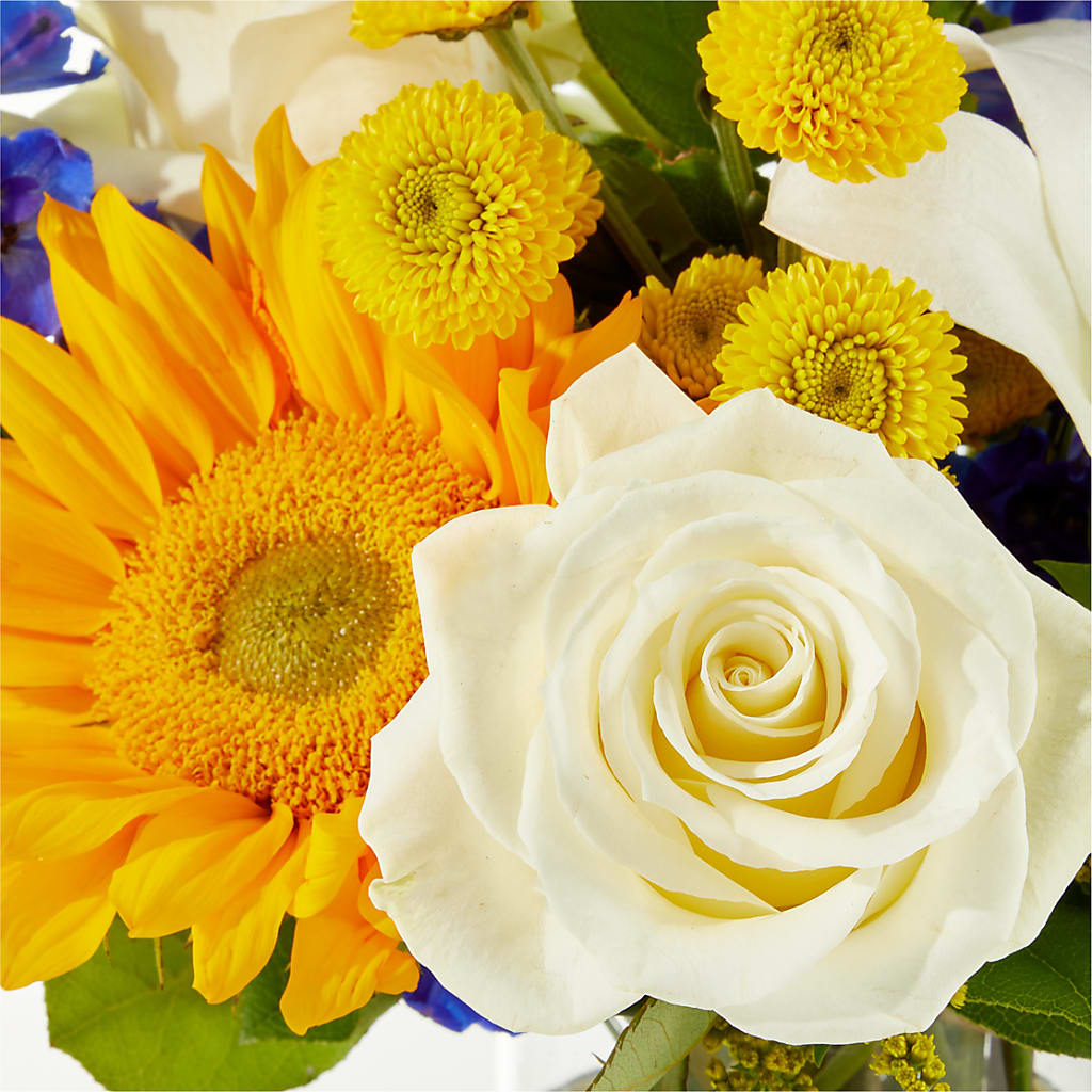 Stargazing Bouquet – COUNTRY PEDDLER FLORAL & GIFT, Savanna IL