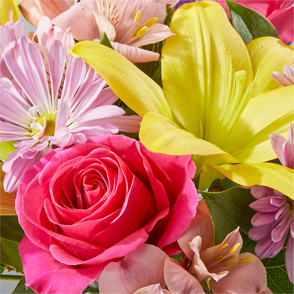 Sprinkles Bouquet – COUNTRY PEDDLER FLORAL & GIFT, Savanna IL