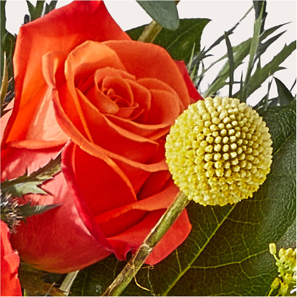 Disco Bouquet – COUNTRY PEDDLER FLORAL & GIFT, Savanna IL