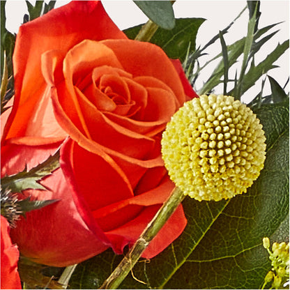 Disco Bouquet – COUNTRY PEDDLER FLORAL & GIFT, Savanna IL
