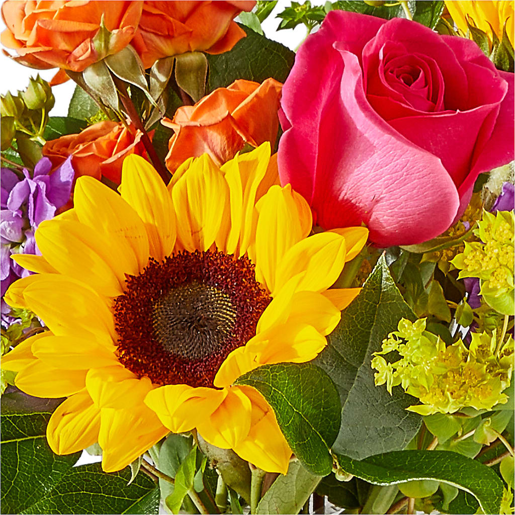 Vibrant Greetings Bouquet – COUNTRY PEDDLER FLORAL & GIFT, Savanna IL