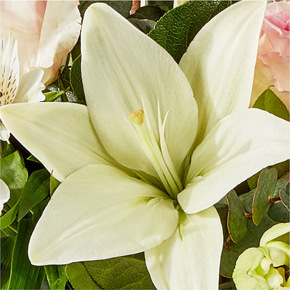 Ballet Slippers Bouquet – COUNTRY PEDDLER FLORAL & GIFT, Savanna IL