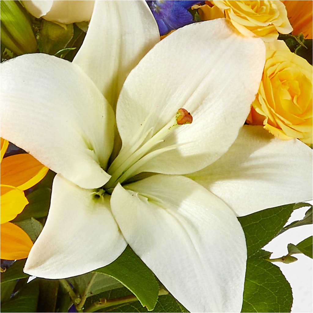 Wonderfully Sunny Bouquet – COUNTRY PEDDLER FLORAL & GIFT, Savanna IL