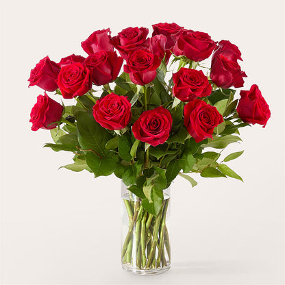 The One Red Rose Bouquet – COUNTRY PEDDLER FLORAL & GIFT, Savanna IL