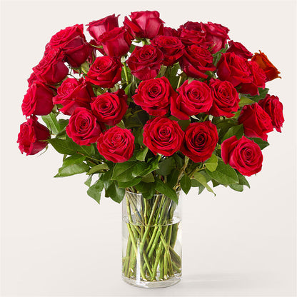 The One Red Rose Bouquet – COUNTRY PEDDLER FLORAL & GIFT, Savanna IL