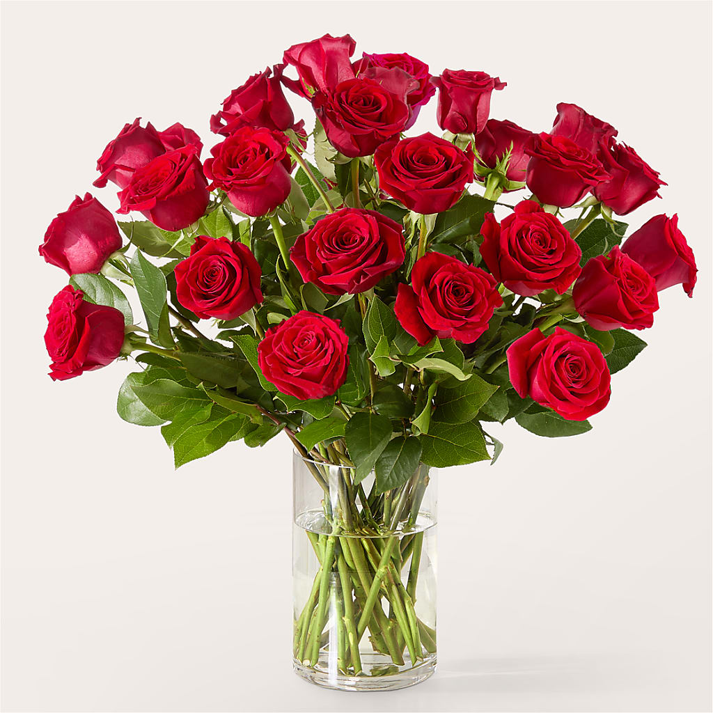 The One Red Rose Bouquet – COUNTRY PEDDLER FLORAL & GIFT, Savanna IL