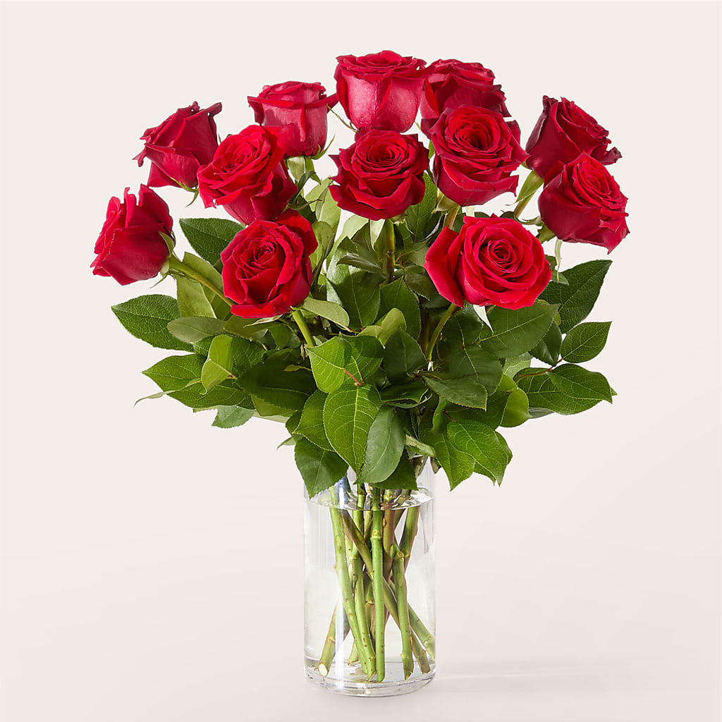 The One Red Rose Bouquet – COUNTRY PEDDLER FLORAL & GIFT, Savanna IL