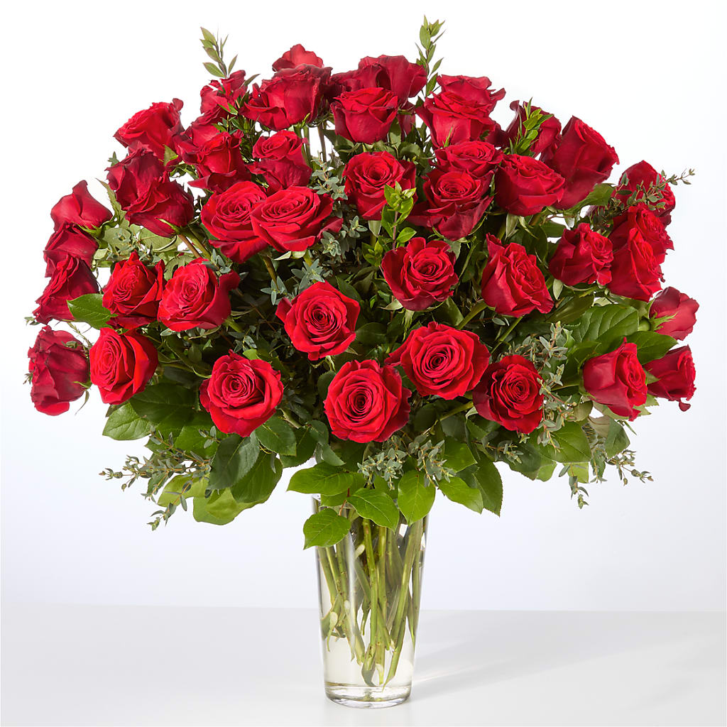 Forever Yours Fifty Stem Red Rose Bouquet – COUNTRY PEDDLER FLORAL & GIFT, Savanna IL