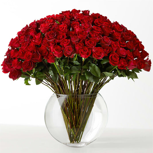 The Idealist – COUNTRY PEDDLER FLORAL & GIFT, Savanna IL