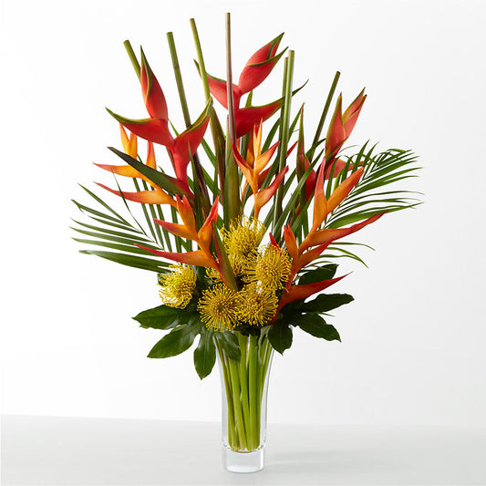 The Drama – COUNTRY PEDDLER FLORAL & GIFT, Savanna IL